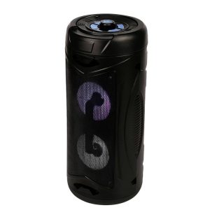 HAUT PARLEUR DU-SP104 DUNTH 3000w