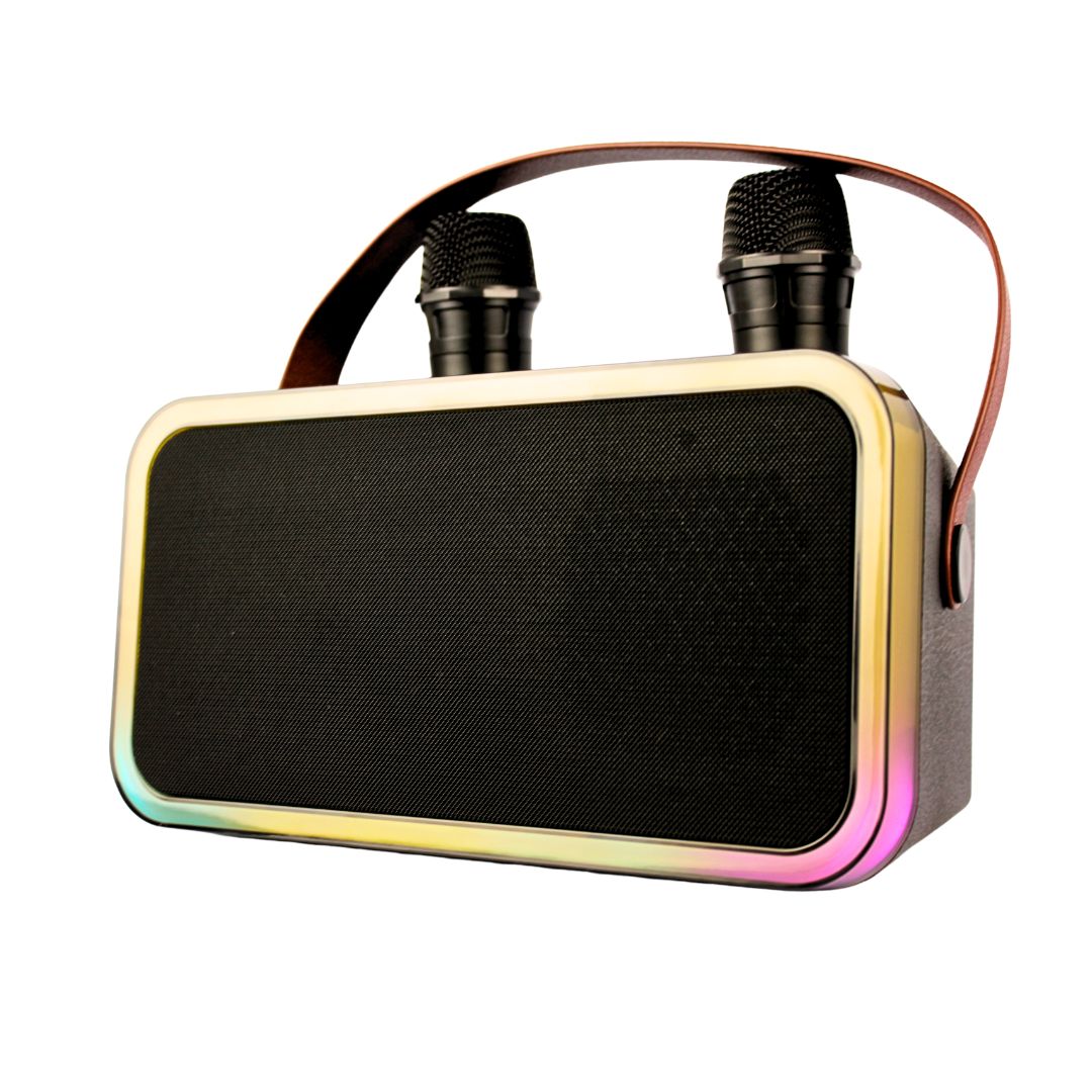 HAUT PARLEUR KARAOKE DU-SP290 DUNTH 4000 W
